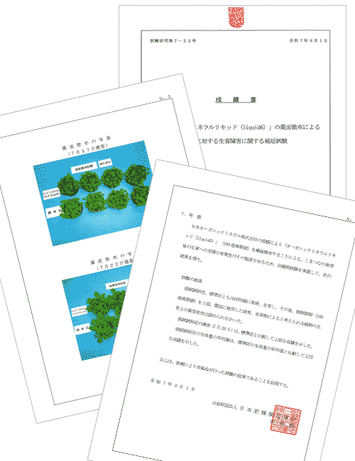 オーガニックミネラルリキッド100倍希釈時の栽培試験結果