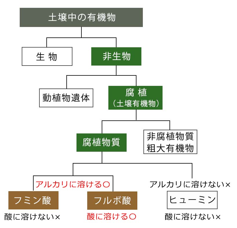 土壌中の有機物のイラスト