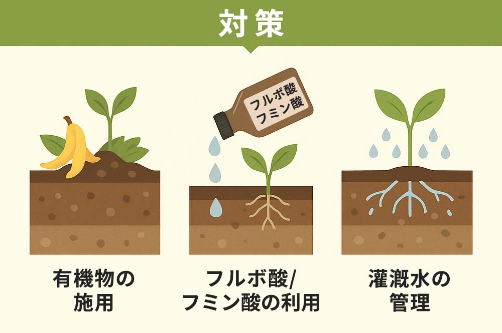 土壌の石灰化対策